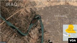 Wilayah Fallujah, Irak (Foto: dok).