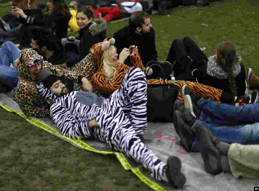 Activists dressed like animals stage a die in during a demonstration in Paris.