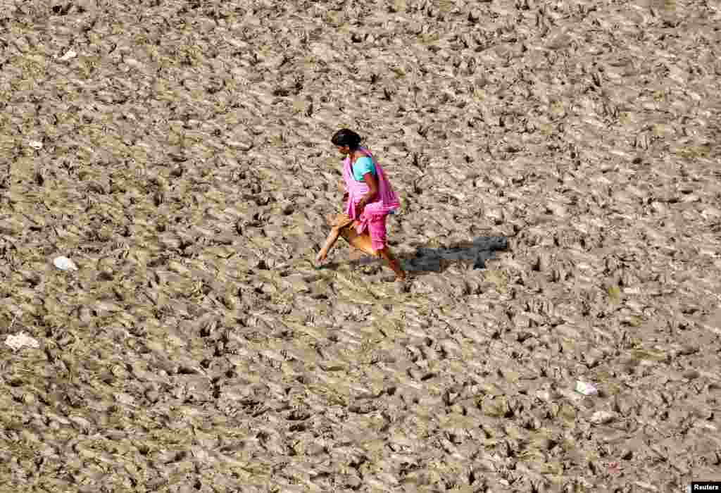 A woman walks on the muddy banks of the Ganges river in Allahabad, India.