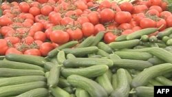 Россия и ЕС договорились об условиях снятия овощного эмбарго