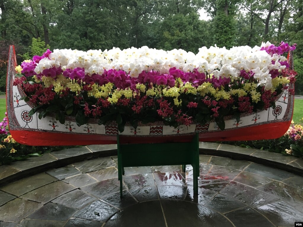 华盛顿双橡园举行 花现台湾 兰花展