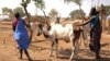 Conflit au Soudan du Sud: la famine reste une menace selon l'ONU