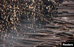 FILE PHOTO: Piles of logs await processing at the UPM paper mill in Kajaani, Finland, July 21, 2008. REUTERS/Bob Strong/File Photo