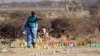 南非警察向罷工礦工開槍死亡人數增加至34人