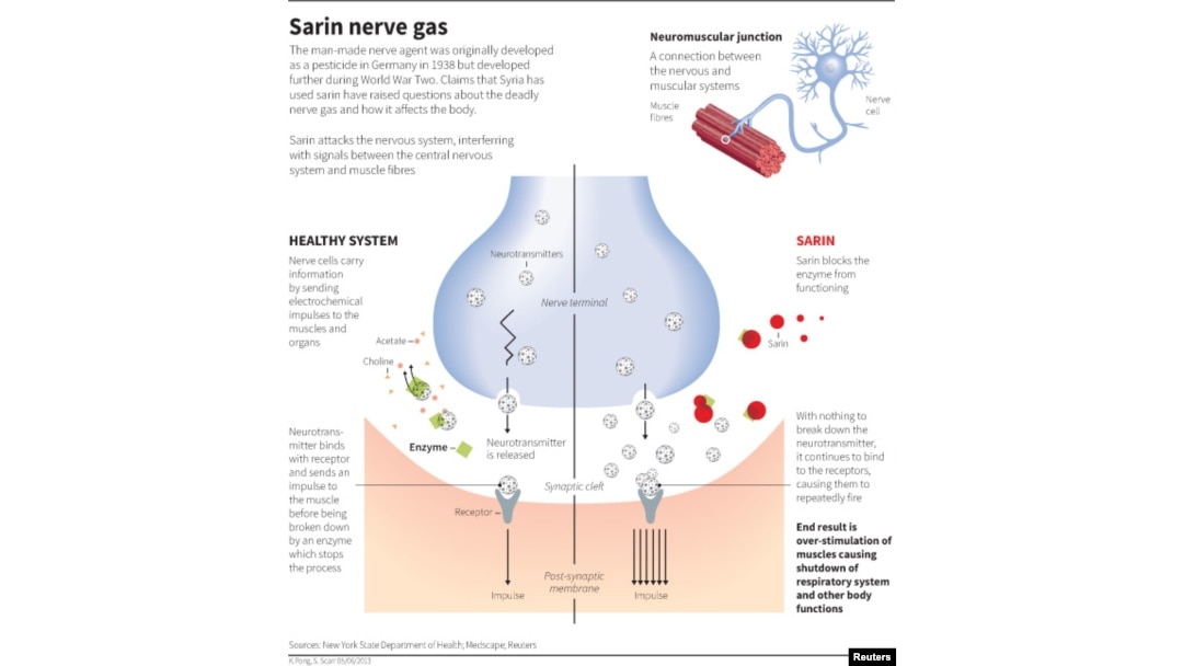 How Sarin Affects the Body