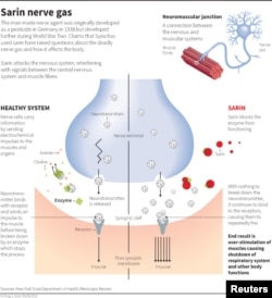 How Sarin Affects the Body