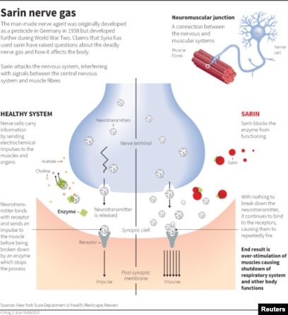 vx gas effects on humans