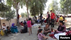 عراق کے شہر سنجار سے فرار ہونے والے بے گھر یزیدی۔ فائل فوٹو
