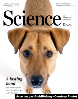 Cover photo, Science