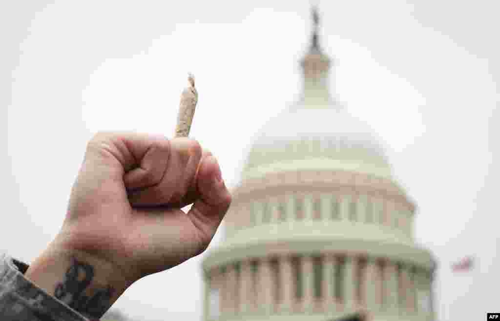 Seorang aktivis pro-cannabis (pendukung legalisasi ganja) mengacungkan rokok marijuana saat melakukan unjuk rasa di Capitol Hill, Washington DC.