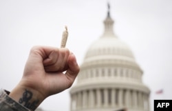 FILE - A pro-cannabis activist holds up a marijuana cigarette during a rally on Capitol Hill in Washington, DC.