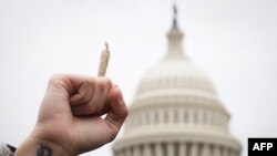 A pro-cannabis activist holds up a marijuana cigarette during a rally on Capitol Hill in Washington, DC.