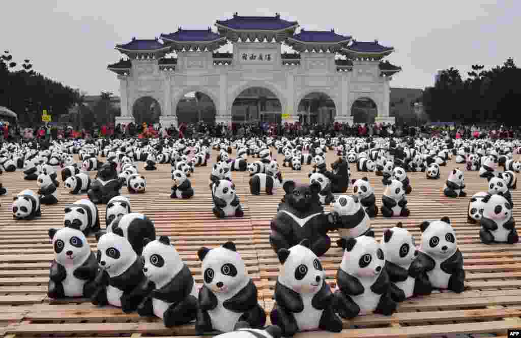 Dua ratus beruang hitam kertas Formosa&nbsp; dikelilingi oleh&nbsp; panda-panda&nbsp; kertas dalam pameran yang disebut &quot;Tur Panda&quot; di Liberty Square, National Chiang Kai-shek Memorial Hall di Taipei, Taiwan. 