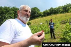 Džemal Habibija je godinu dana primao plaću iz poticaja za zapošljavanje bivših boraca. Kaže da je rijetko dolazio na plantažu malina na kojoj je trebao raditi (Foto: CIN)