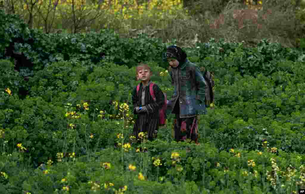 Children make their way through a field filled with flowers on the outskirts of Islamabad, Pakistan.