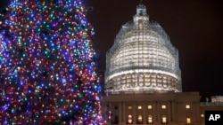 The U.S. Capitol Dome, currently under restoration, and the Capitol Christmas Tree are seen illuminated during evening hours Dec. 11, 2014. Just 202 bills became law over the past two years, according to congressional data. (AP Photo/J. Scott Applewhite, File)