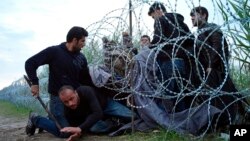 Migranti prolaze ispod žičane ograde na granici Mađarske i Srbije