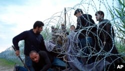 Imigrantes sírios, Hungria