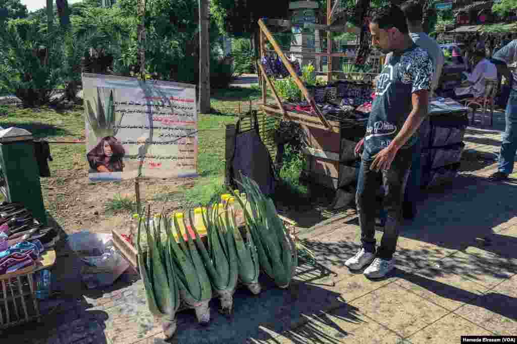 A sidewalk vendor in Alexandria peddles aloe vera, a succulent popular for treating sunburn. Proven or not, many Egyptians complain the sun seems to get stronger each year and doctors warn of skin cancer as one of the dangers of overexposure. 