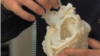 Researchers Work on 3-D Printing of Living Tissue