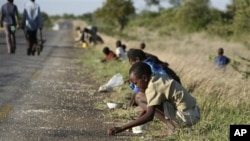 FILE - In this Dec. 14, 2008 file photo, children and their parents pick corn kernels spilled on the roadside by trucks ferrying corn imported from South Africa, in Masvingo 239 kilometers (148.5 miles) south of Harare. As the season of hunger and disease