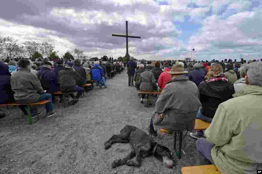 A dog sleeps on the ground during a church service at the peak of a coal mine dump in Bottrop, Germany, on Good Friday, April 18, 2014.&nbsp;