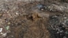 Seekor gajah mati di sebuah tempat pembuangan sampah terbuka di desa Palakkadu, distrik Ampara yang berlokasi sekitar 210 km dari ibu kota Sri Lanka, Kolombo, 6 Januari 2022.