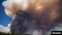 Cháy rừng ở Công viên Quốc gia Yosemite, California, ngày 23/8/2013. 
