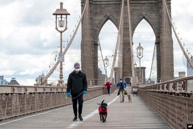 People wear facial masks for protection against the coronavirus as they walk their dogs on the Brooklyn Bridge, Friday, April 10, 2020, in New York. (AP Photo/Mary Altaffer)