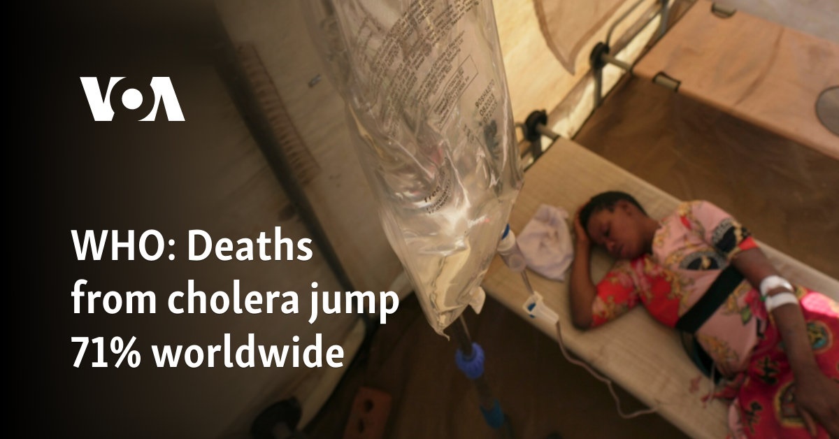 WHO: Deaths from cholera jump 71% worldwide