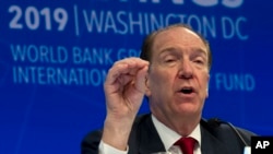 世界銀行行長馬爾帕斯在華盛頓舉行的記者會上發表講話。 （2019年4月11日）