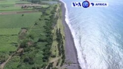 Manchetes Africanas 24 Março: Ministros da Defesa reunidos no Egipto contra o terrorismo