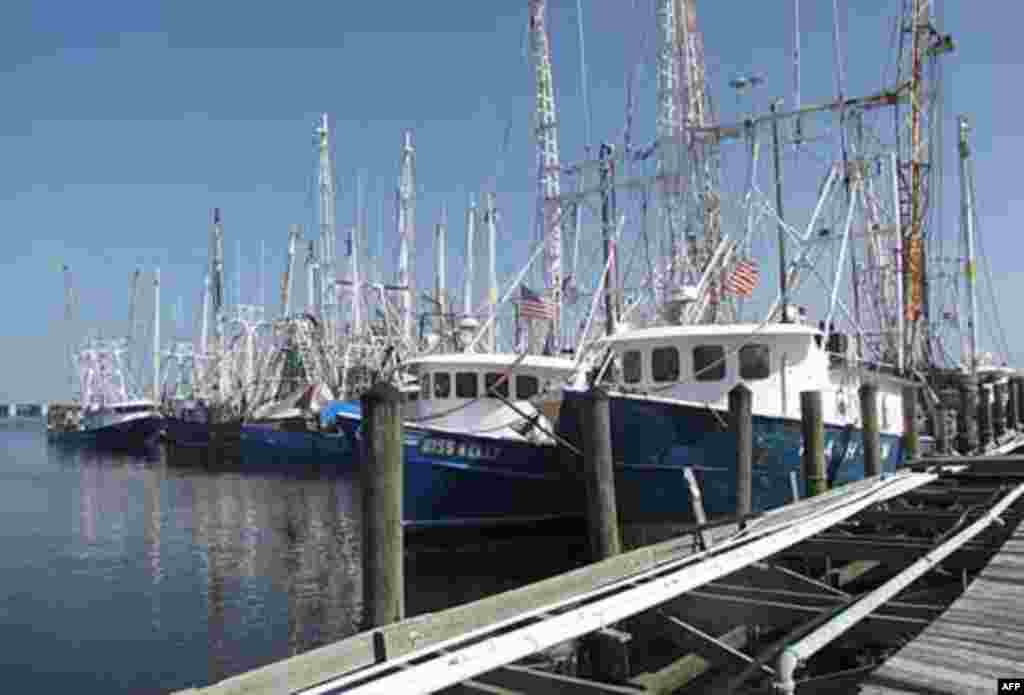 Other Vietnamese vessels still waiting to be hired by BP, Venice, New Orleans, 07/27/2010