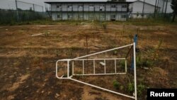 Tanaman yang tumbuh di lapangan-lapangan di sebuah komplek olah raga di kota Namie di Prefektur Fukushima yang penghuninya sudah dievakuasi. (Foto:Dok)