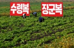지난 2012년 9월 북한 황해북도 사리원의 미곡협동농장.