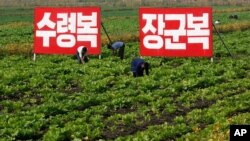 북한 황해북도 사리원 미곡협동농장 관계자들이 작업에 열중하고 있다. (자료사진)