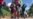 16x9 Image