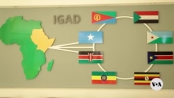 Plan aims to minimize effects of climate disasters in Horn of Afric