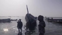 Pêche : les prix du thiof baissent drastiquement sur les marchés sénégalais