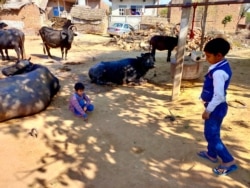 While girls are kept at home, boys are allowed to walk outside the village to attend middle and high school in patriarchal homes in Pipaka village. (Anjana Pasricha/VOA)