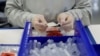 A technician assembles coronavirus test kits at the Evolve manufacturing facility in Fremont, Calif., March 26, 2020. The U.S. is seeing Russian, Chinese and Iranian COVID-19 disinformation campaigns converging, a State Department official says.