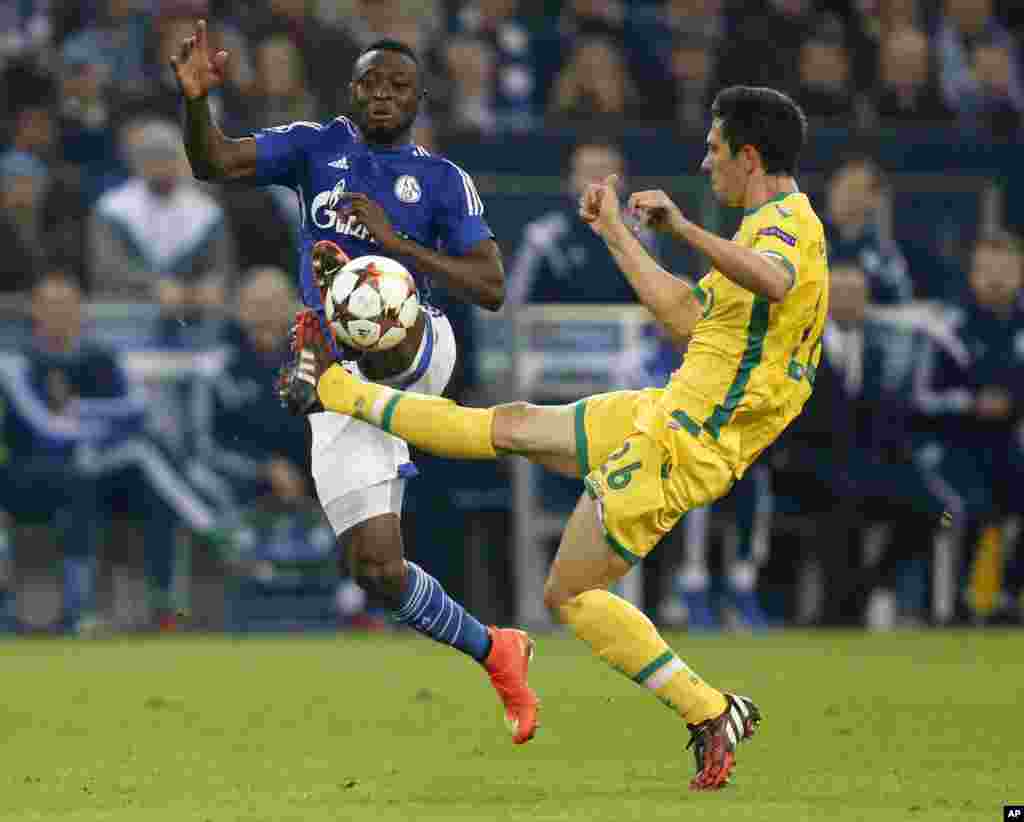 Eric Maxim Choupo Moting-de Schalke, à gauche, engagé dans une battaille contrer Paulo Oliveira du Sporting lors du match de la Champions League entre Schalke 04 et le Sporting à Gelsenkirchen, en Allemagne, mardi 21 octobre 201. 