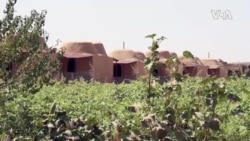 Syrian Women Only Village