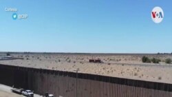 Iniciativa busca atacar la operación de los “coyotes”