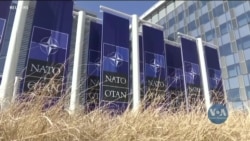 Що громадяни країн-членів НАТО думають про захист союзних держав – дослідження. Відео