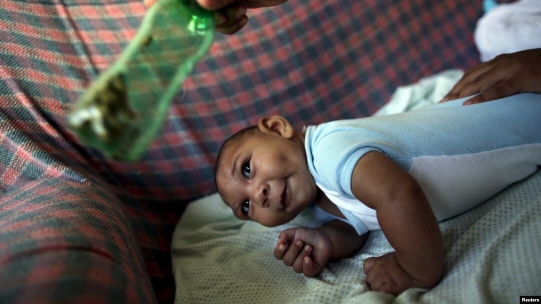 ማይክሮሰፋሊ (Microcephaly)ያጠቃው የአራት ወር ህጻን ብራዚል ውስጥ እ.አ.አ 2016