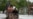 Cuba, duramente golpeada por ciclón Rafael, intenta recuperarse