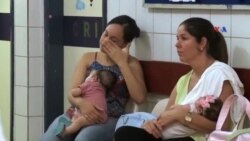 Zika virusunun Amerika qitəsində yayılma ehtimalı