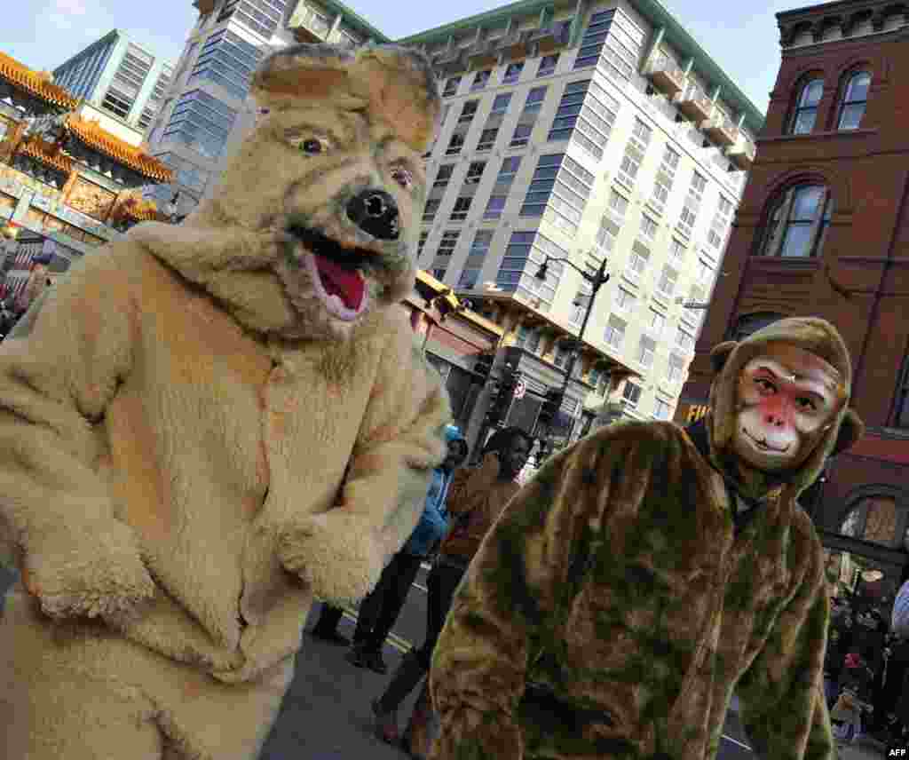 «Овечкин» и китайский новый год