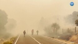 İspanya’da Yılın En Şiddetli Yangınları Devam Ediyor